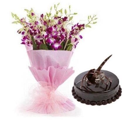 Orchid Odyssey Choco