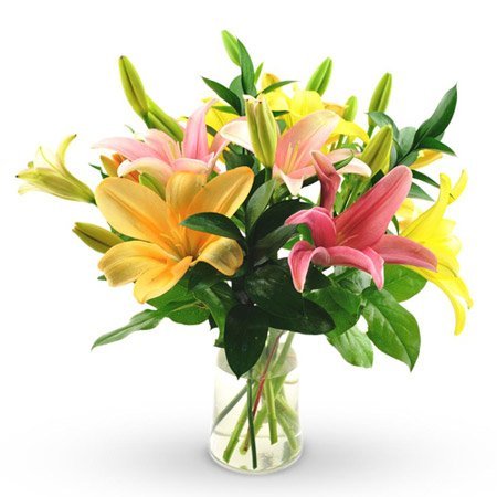 mix-color-asiatic-lilies-perfectly-arranged.jpg
